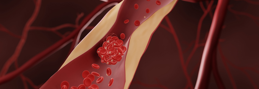 Blood cells moving through a vein