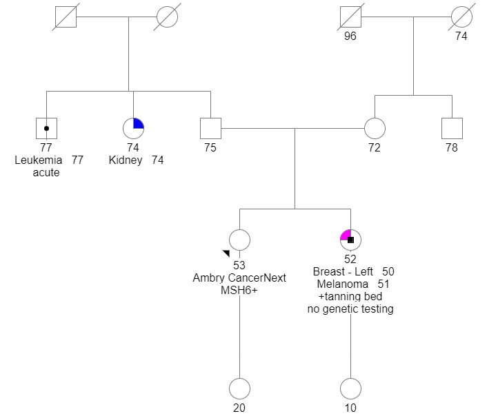 Graphic flowchart of patient's hereditary genetics