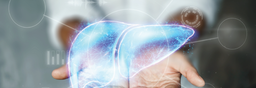 Virtual image of liver
