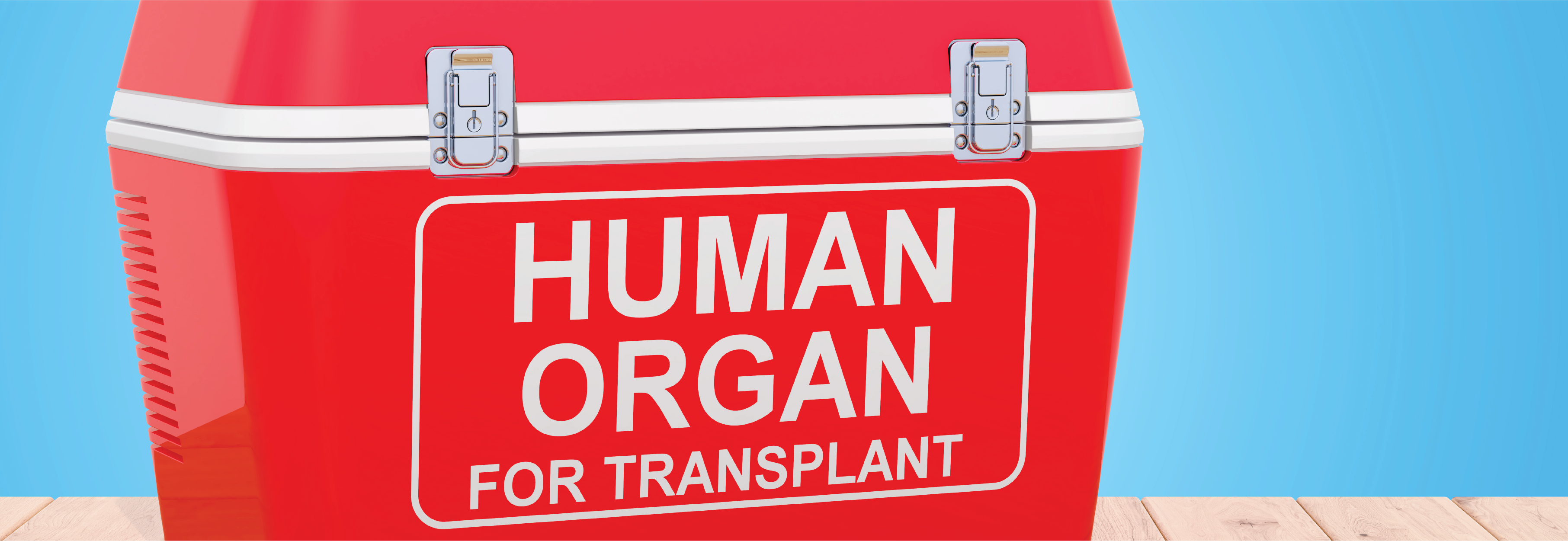 Cooler for transporting organs