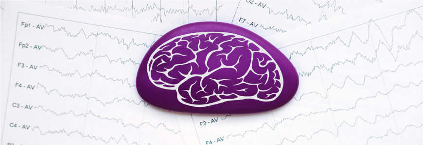 Purple brain drawing on brain wave on electroencephalogram EEG for epilepsy