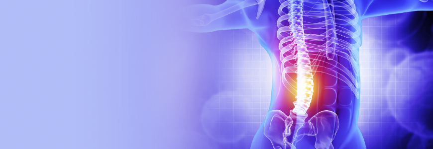 pain in the spine, pain in the back, highlighted in red, x-ray view. 3d illustration