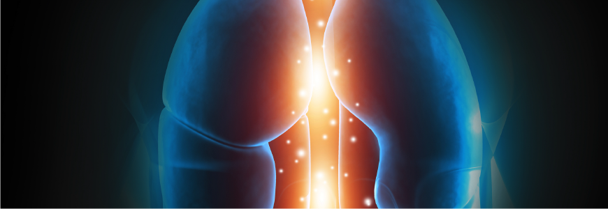 Burning lungs,smoking causes cancer. 3d illustration