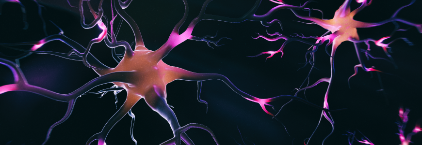 Abstract 3D image of neural cells