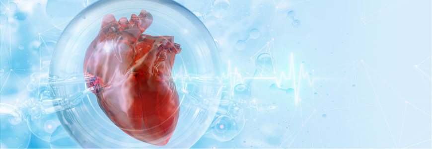 Human heart medical background. Cardiovascular anatomy, cardiac function, cardio health