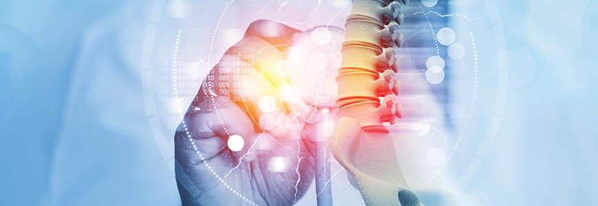 Doctor check and diagnose the human spine on blurred background