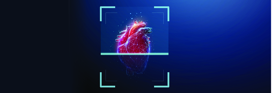 3d red human heart inside digital scanning frame 