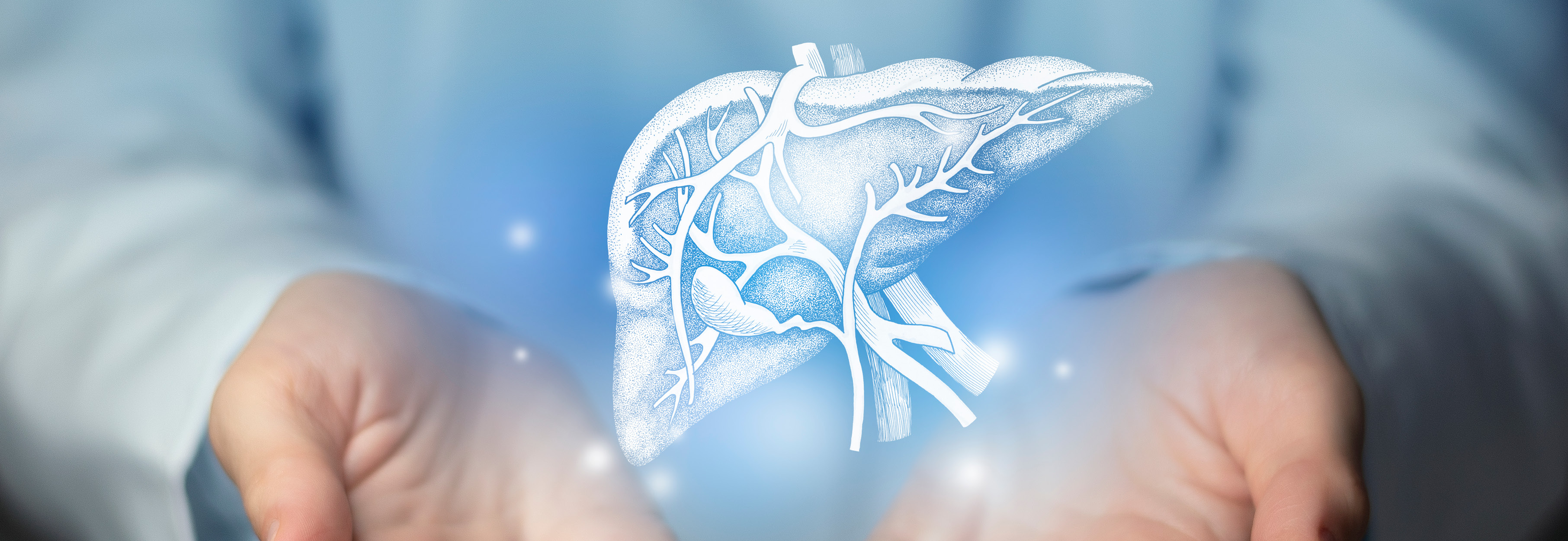 Aesthetic handdrawn highlighted illustration of human liver.