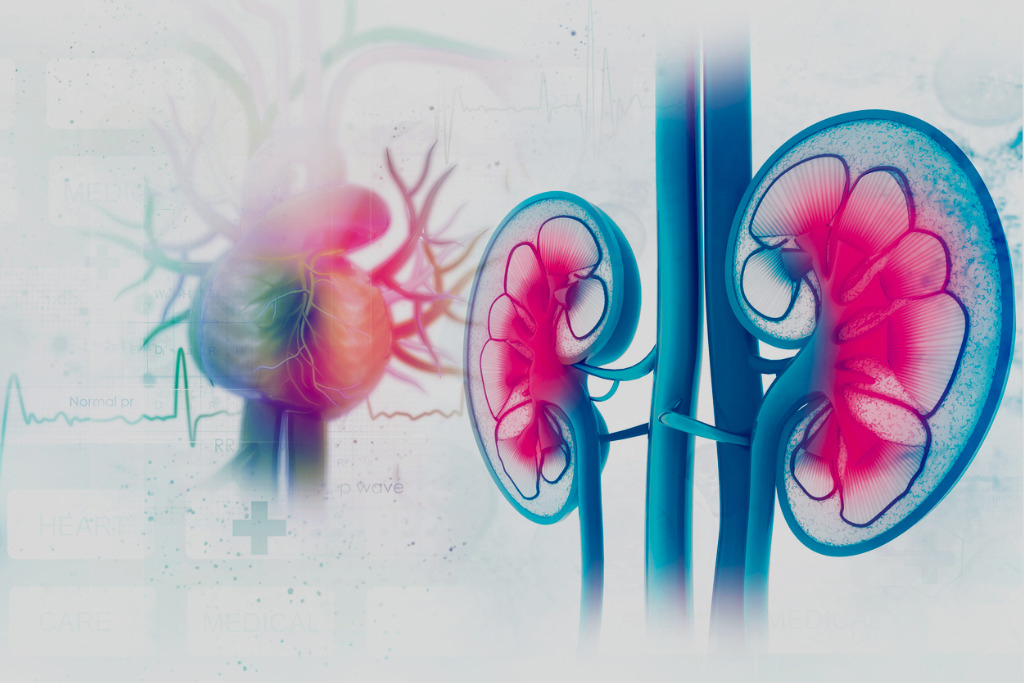 Apixaban May Offer Advantages for Patients With CKD and AF