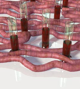 Cardiotoxicity, conceptual computer artwork. Blood samples and heart muscle fibers representing cardiotoxicity. Cardiotoxicity is damage caused to heart muscle by drugs. The damage can be fatal. Many chemotherapy drugs are cardiotoxic.