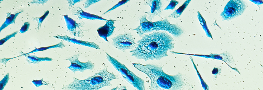close up of cells