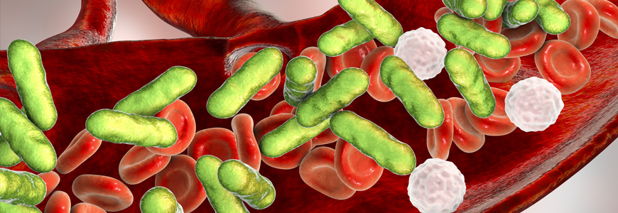 Illustration of GI tract