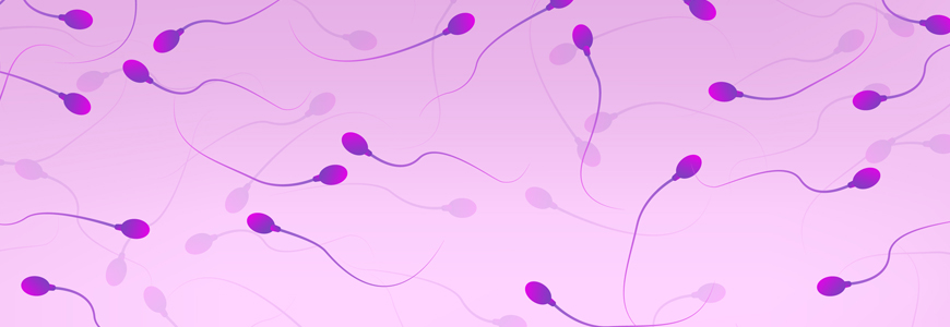 image of sperm