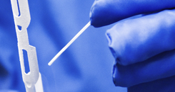 No Benefit to Frozen Embryo Transfer for IVF in Low and Intermediate Responders