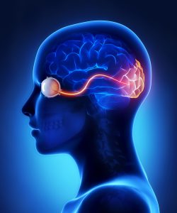 Q&A-on-Neuro-Ophthalmic-Adverse-Effects-of-Molecularly-Targeted-Cancer-Drugs