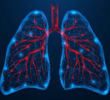Illustration of lungs