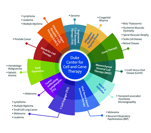 Circular graphic showing all cell and gene therapies offered at Duke Health
