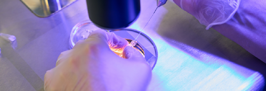Reproductology laboratory assistant adding special drops with capillary holder