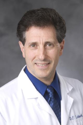 David F. Lobach, MD, PhD, MS