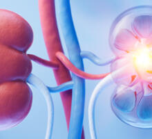 Duke Living Donor Kidney Transplant Program Continues to Expand
