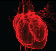 Duke Heart Failure Specialist Leads International Journal