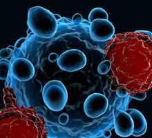 Pediatric Cellular and Transplant Therapies Improve Survival Rates