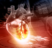 Pulsed-Field Ablation Safe, Effective for Atrial Fibrillation