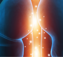 Duke Lung Transplant Offering Living Donor Lobar Options