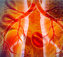 Thoracic Oncology Program Leads with Surgical Innovation, Trials