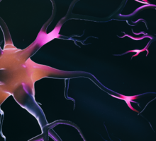 Enhanced Access to Multidisciplinary Movement Disorder Care in Raleigh
