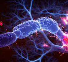 Duke Comprehensive Epilepsy Center Builds Precision Approach to Surgical Care