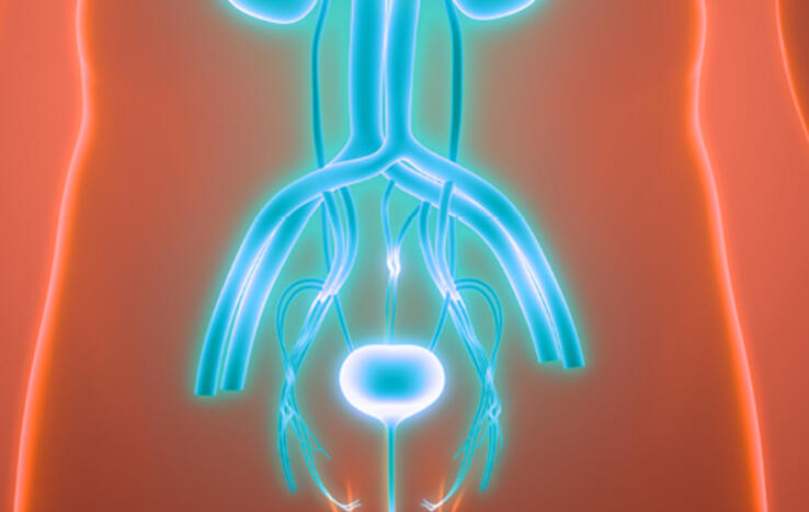 Innovative Bladder Cancer Treatments Expand Options for Patients