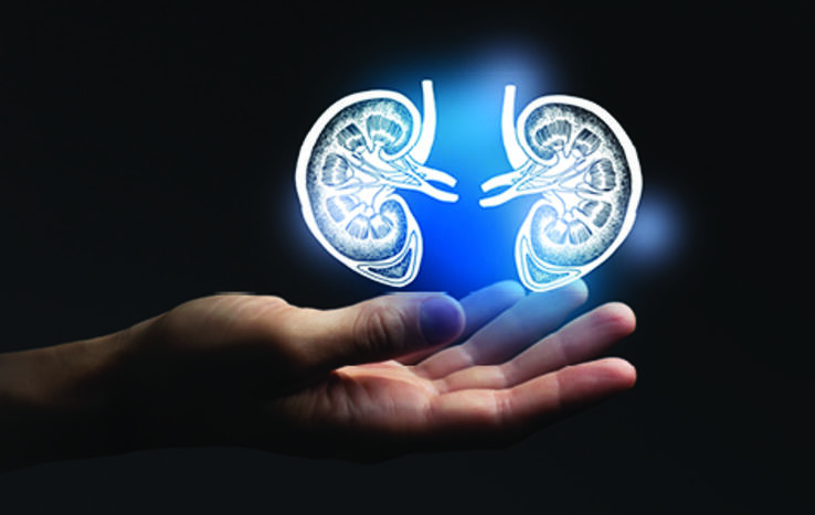 Paired Exchange Enables Living Donation for Patient with HIV