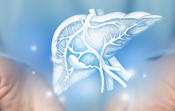 Hypothermic-Oxygenated Perfusion Expands Liver Transplant Access