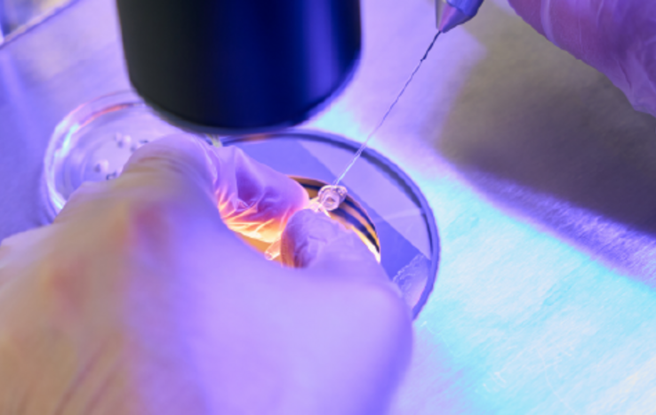 Beyond Oncology: Duke Health Expands Access to Cell and Gene Therapies
