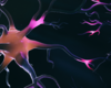 Enhanced Access to Multidisciplinary Movement Disorder Care in Raleigh