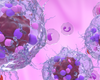 Neuroendocrine Tumor Program Provides Specialized Care for Rare Cancer