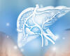 Hypothermic-Oxygenated Perfusion Expands Liver Transplant Access