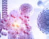 Duke Launches Small Cell Lung Cancer Center of Excellence