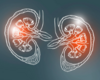 Obesity in Kidney Transplantation: The Weight of the Matter