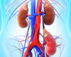 Case Concepts in Kidney Transplant: Induction Treatment and Rejection Management Strategies