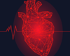 Addressing Increased Detection, Early Rhythm Control, and the Role of AADs in Contemporary AF Management