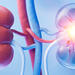Kidney with biology and health care concept, 3d rendering