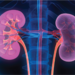 3D Illustration of Kidneys