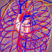 Illustration of heart inside chest wall