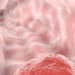 Oesophageal cancer, computer illustration