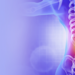 pain in the spine, pain in the back, highlighted in red, x-ray view. 3d illustration