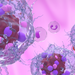 Metastatic neuroendocrine tumor cells in the blood flow