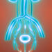 3D Illustration Concept of Human Urinary System Kidneys with Bladder Anatomy