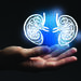 Aesthitic handdrawn illustration of human kidneys highlighted blue. Photo collage with female hand 